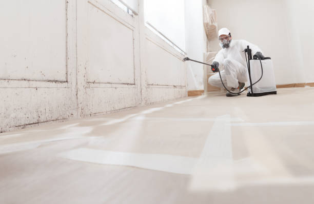 24/7 Emergency Mold Cleanup experts in Cardinal, VA
