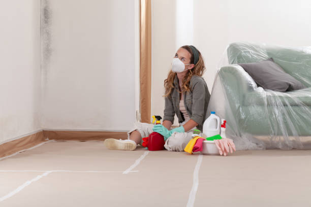 Reliable Mold Cleanup contractor in Cardinal, VA by WQB Mold Removal